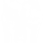 9145, Banksy, Police searching kid