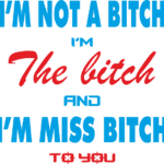 9191, Im not a bitch im the bitch and im miss bitch to you