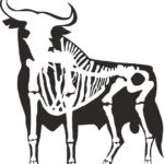 9201, Taurus, Xray