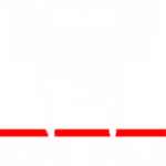 8519, Albert Einstein, Run, Mc