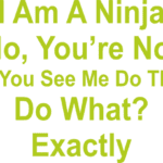 8676, I am a ninja no you are not did you see me do that do what exactly