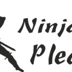 8743, Ninja Please
