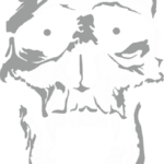 8768, Skull