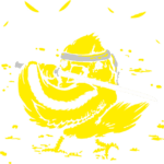 8851, Kill bird, Ninja