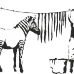 8867, Zebra, Washing black
